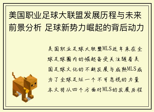 美国职业足球大联盟发展历程与未来前景分析 足球新势力崛起的背后动力
